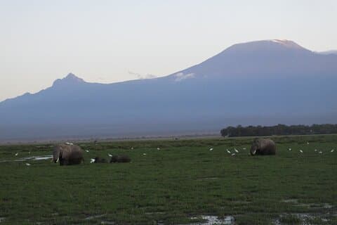Day trip to Amboseli National Park