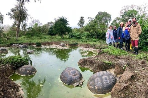 The Galapagos Giant Tortoise Experience + Los Gemelos | Private