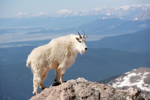 Mount Blue Sky Summit Experience & Red Rocks Tour