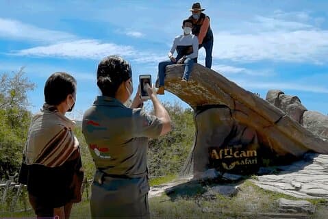 Africam Safari Zoo Admission with Transportation