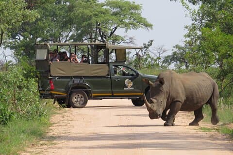 Kruger National Park sunrise Morning Private safari