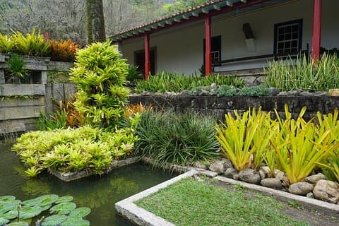 Landscape Experience in Rio: Inspired by Roberto Burle Marx