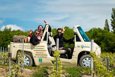 Guided tour of the Aÿ vineyard and Champagne tasting