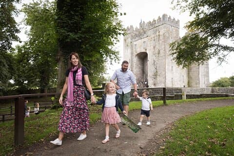 Bunratty Castle and Folk Park Admission Ticket