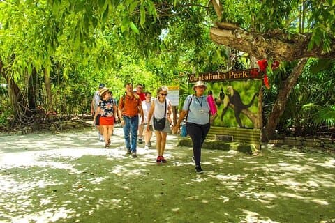 Gumbalimba Park Experience