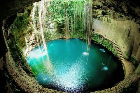 Xenotes