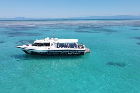 ABC Reef Safaris