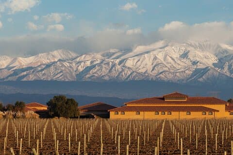 Bodegas & Olivares 1/2 day without lunch