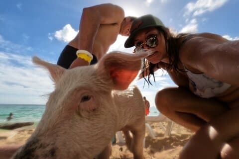 Ultimate SeaXscape Pigs/Turtles/Snorkel/Lunch/Drinks/PU/DO
