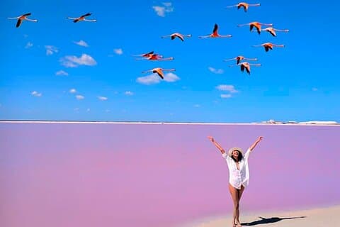 Las Coloradas Pink Lakes & Río Lagartos Wildlife Tour