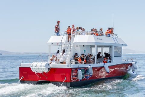 30min Harbour Boat Cruise Cape Town