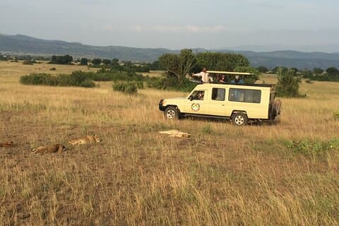 5 Days Gorillas & Chimpanzee Trekking Safari in Uganda
