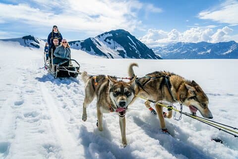 Alaska Helicopter and Glacier Dogsled Tour - ANCHORAGE AREA
