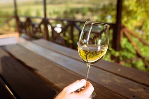 Cape Winelands and Kisternbosch Botanical Garden Full Day Tour.