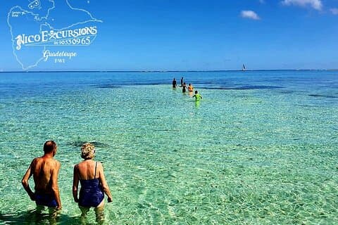 Discovery by boat of the Mangrove and its lagoon in 7 Stages including 4 Swimming