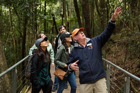 Blue Mountains Small Group All Inclusive with Local Guide
