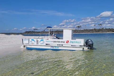 Private 3 Hour Powerboat Dolphin Cruise with Remote Beach Stop up to 6 guests