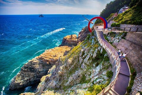Busan Coastal Views or Bamboo Forest with Local Markets Day Tour