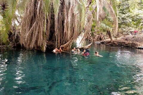 Private Tour to Materuni Waterfalls, coffee tour & Kikuletwa Hot Springs