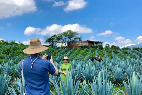 Guachimontones Circular Pyramids: Half-Day Fully-Private Tour