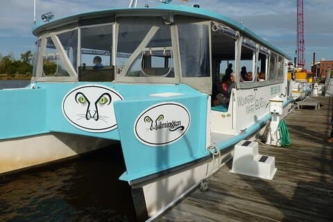 Black Water Adventure Cruise