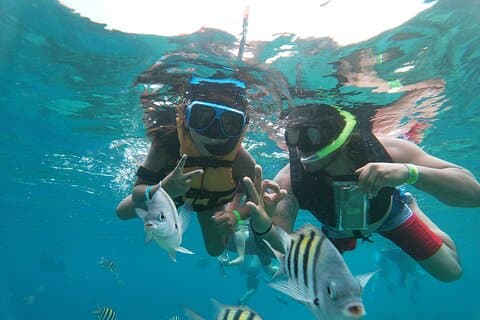 Official Chankanaab Park Admission with Snorkeling