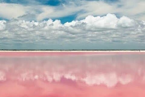 Mérida: Las Coloradas and Río Lagartos with Boat Tour and Lunch
