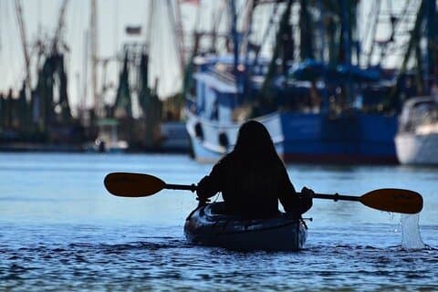 Kayak With Dolphins in Historic Shem Creek