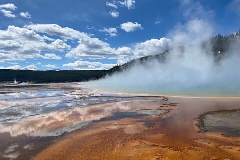 Yellowstone Lower Loop Tour | Wildlife & Hot Springs | PRIVATE