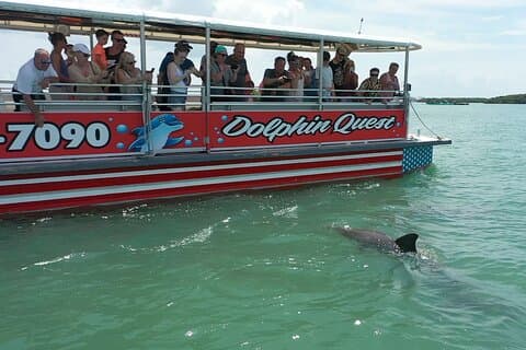 Dolphin Watching/Eco Cruise, John's Pass, Madeira Bch, FL
