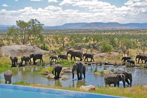 Isimangaliso Wetlands, plus Hippo & Croc Boat Cruise Full Day Tour from Durban