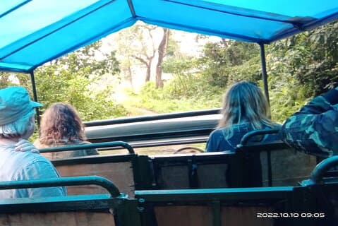 Jeep safari (Sharing, 4-5 hrs.) inside Chitwan National Park.