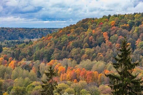 Sigulda - Latvia's Switzerland and Gauja National Park Tour