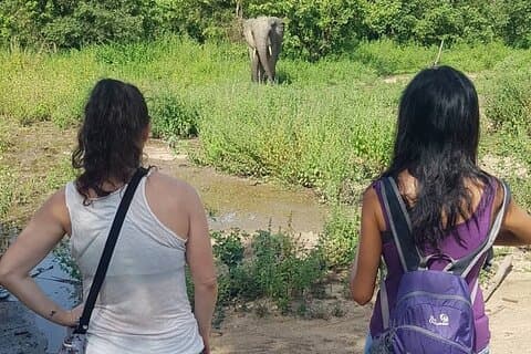 3 days Ghana must go Elephants private Safari