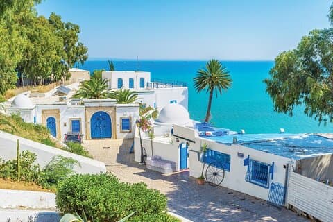 Private tour: Medina,Carthage ,Sidi Bou Said, Bardo Museum+lunch