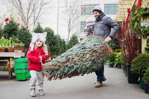 Private Walking Tour in New York Christmas Lights