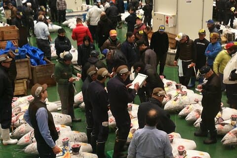 Complete Tuna Auction & Toyosu Market Tour with Fumi