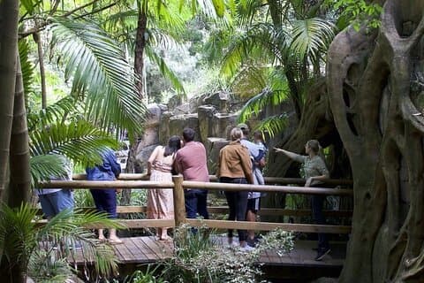Brisbane: Daytime Scenic Rim Glow Worm Tour + Hop on Hop off Bus