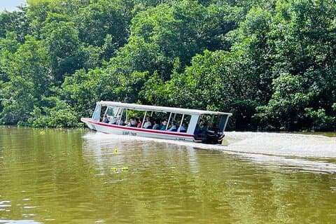 Half day Tortuguero Canal, Cahuita National Park & Puerto Limon