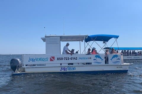 2 Hour Private Dolphin Cruise & Bay Tour