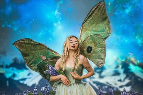 Become a Fairy Princess for the day