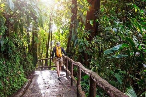 Khao Yai National Park Full-Day From Bangkok - Including Ticket
