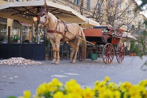 Lucca Royal Experience – Grand Tour Deluxe by Carriage (2 Hours)