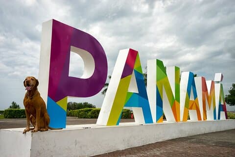 City Tour : Panama Canal, Old Town and Amador with entrance