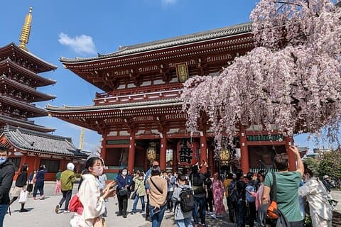 Tokyo Highlights Private Custom Tour with Licensed Guide & Driver