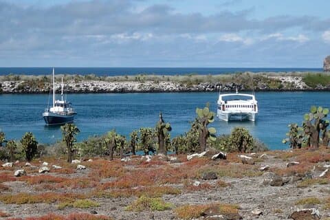 South Plazas and Punta Carrion Day Tour:Land Iguanas & Snorkeling
