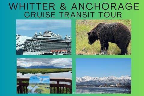 Whittier to Anchorage: Wildlife & Scenic Transfer Tour