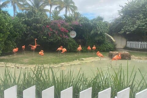 Private Guided Tour Around Nassau, The Bahamas