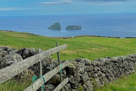 Terceira Island full day tour