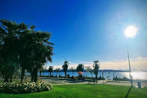 Private Vancouver ALL IN ONE Full Day City Tour with 20 Attractions